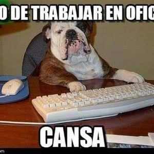 Meet your Posher, Paula