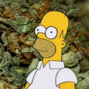 Meet your Posher, Claudia