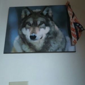 Meet your Posher, Waymon