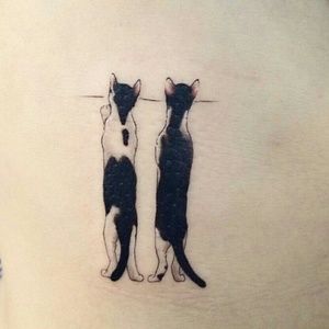 Meet your Posher, Stevie