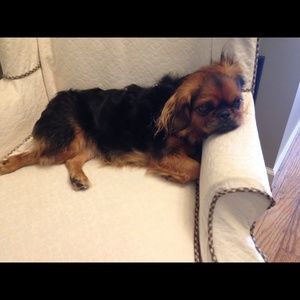 Meet your Posher, Paris