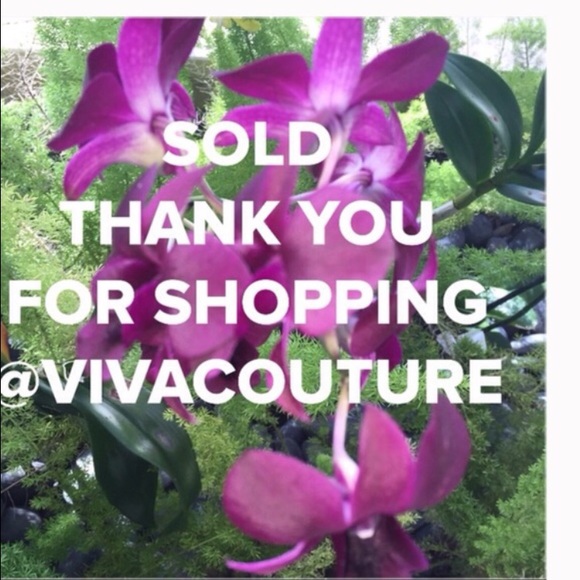 Vivacouture Accessories - ️SOLD Listing