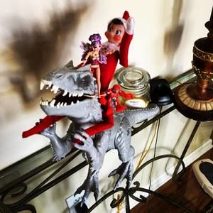 Meet your Posher, Carolina