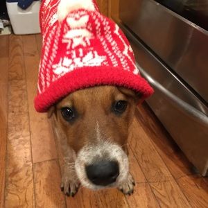 Meet your Posher, Aly