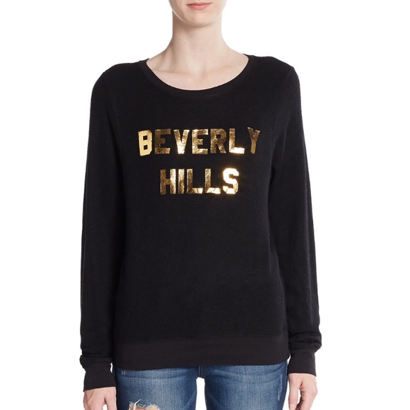 Wildfox Sweaters - Wildfox Jumper