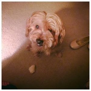 Meet your Posher, Sarah