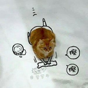 Meet your Posher, Dunia