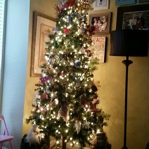 Meet your Posher, Dawn