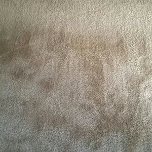 Meet your Posher, Rene