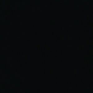 Meet your Posher, Edward