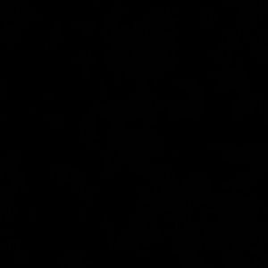 Meet your Posher, Isaac