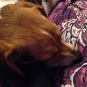 Meet your Posher, Crystal