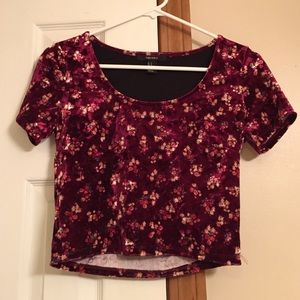Velvet floral crop top NWOT