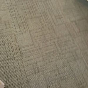 Meet your Posher, Ana