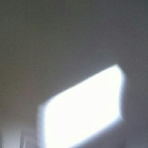 Meet your Posher, Dylan