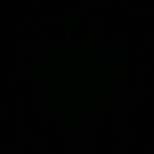 Meet your Posher, Bobbie