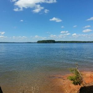 Meet your Posher, Kelley