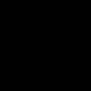 Meet your Posher, Jada