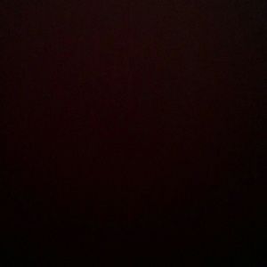 Meet your Posher, Mya