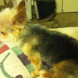 Meet your Posher, Judith