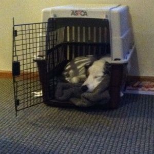 Meet your Posher, Summer