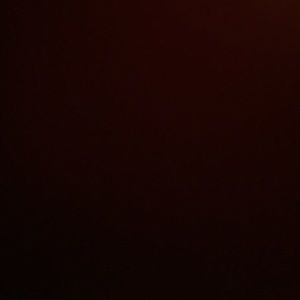 Meet your Posher, Lee