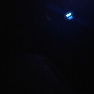 Meet your Posher, Wendy