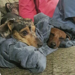 Meet your Posher, Joan