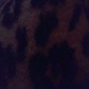 Meet your Posher, Richie