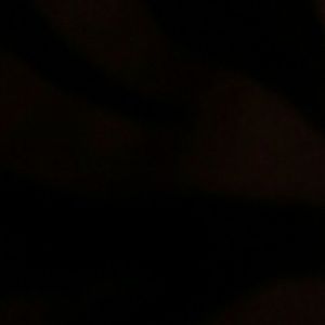 Meet your Posher, Lloyd