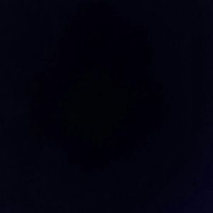 Meet your Posher, Avy