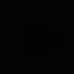 Meet your Posher, Ebony