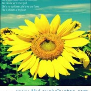 Meet your Posher, Dee