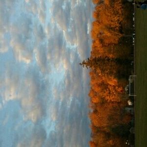 Meet your Posher, Riley