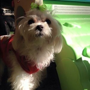 Meet your Posher, Alma