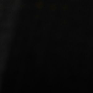 Meet your Posher, Trevor