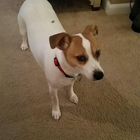 Meet your Posher, Simone - Picture 1 of 1