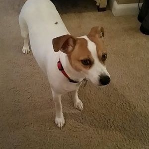 Meet your Posher, Simone