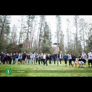 Meet your Posher, Louise