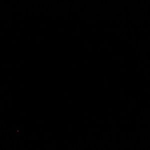 Meet your Posher, Leticia