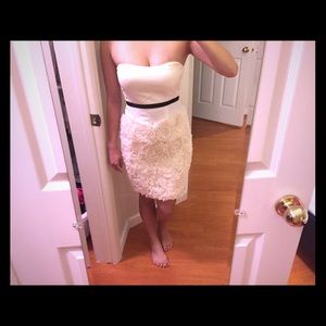 Ruffled Elegant Dress