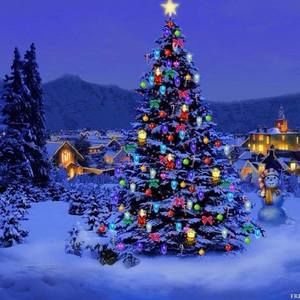 Meet your Posher, Sandra narvaez