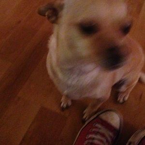 Meet your Posher, Maddy