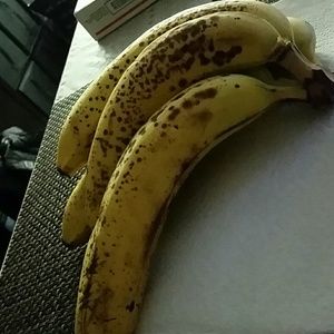 Meet your Posher, Don