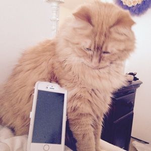 Meet your Posher, Mark