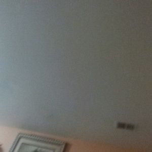 Meet your Posher, Dennis