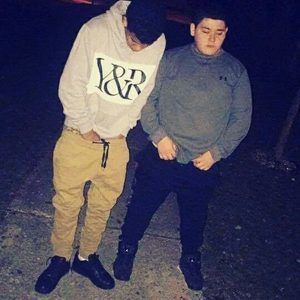 Meet your Posher, Joey