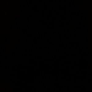 Meet your Posher, Dillon