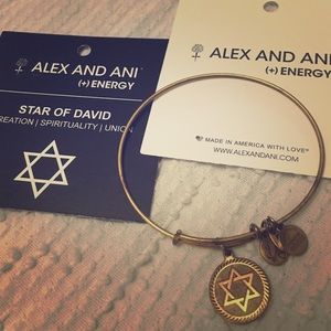 Gold Alex and Ani Star of David