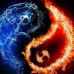 Meet your Posher, Argenis